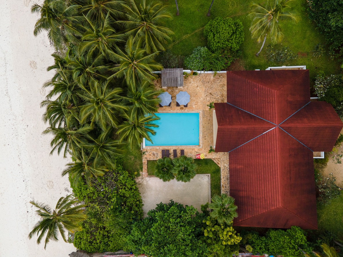 Garden path framed by coconut palms leading to the beach and ocean